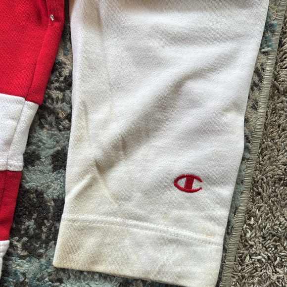 Vintage Champion Campus Heritage Mens XL Cotton Graphic Wisconsin Hockey Hoodie - Picture 5 of 7